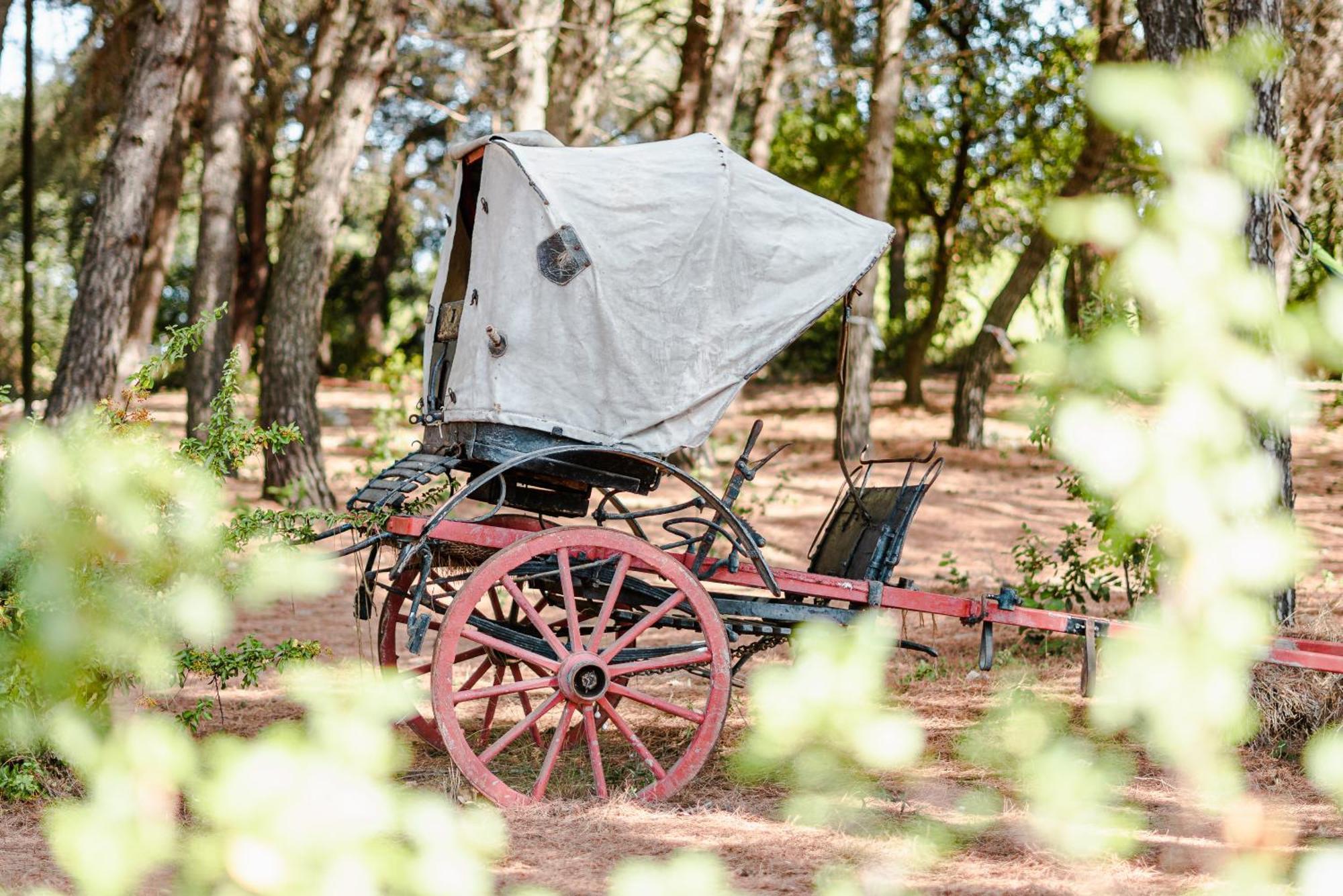 Ad Un Passo Da Cisternino - Trulli Con Foresta, Bici E Barbecue Dış mekan fotoğraf