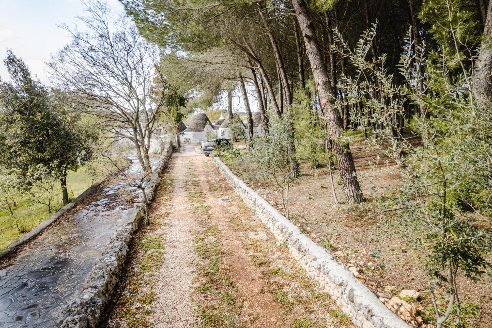Ad Un Passo Da Cisternino - Trulli Con Foresta, Bici E Barbecue Dış mekan fotoğraf