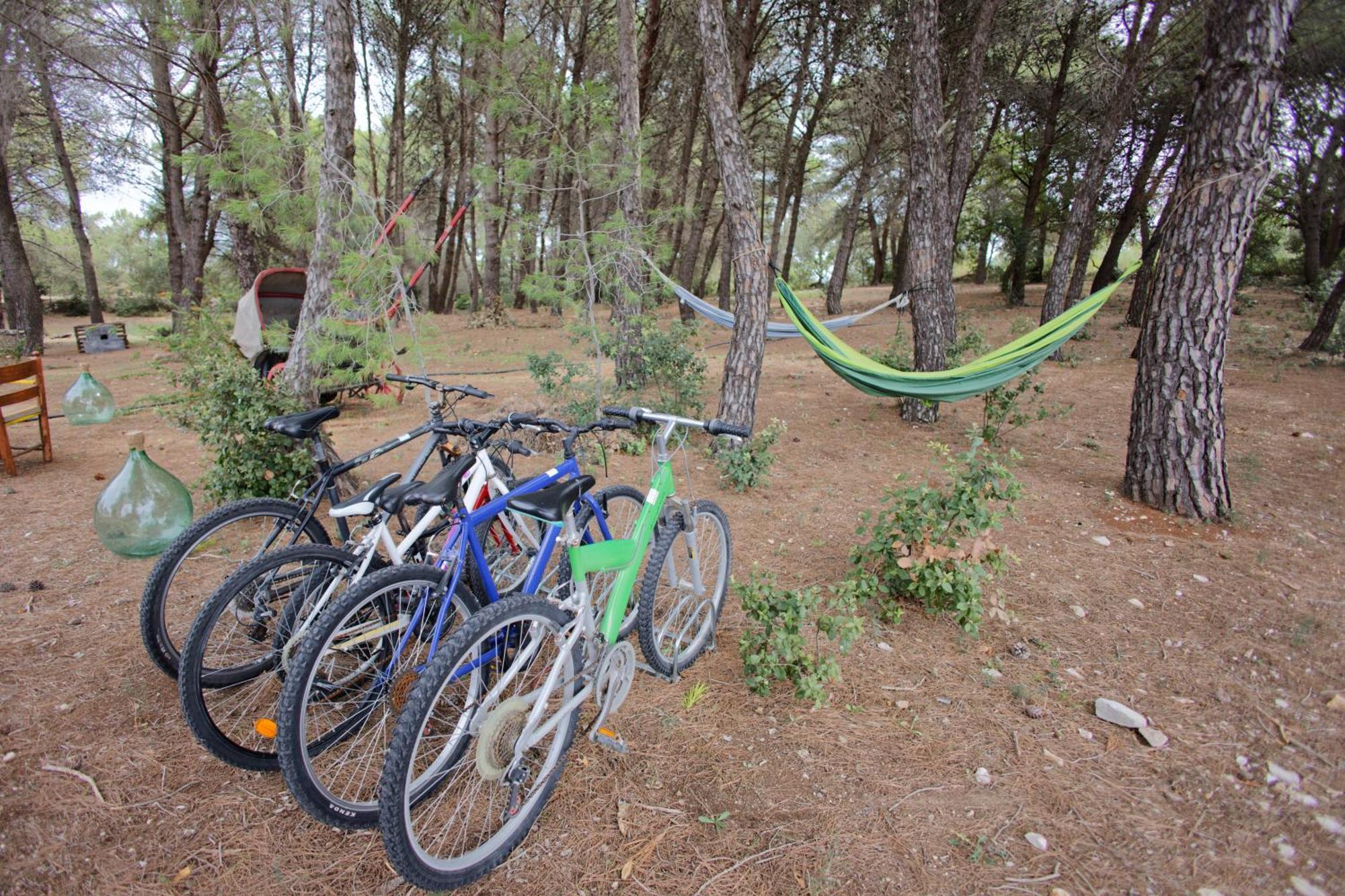 Ad Un Passo Da Cisternino - Trulli Con Foresta, Bici E Barbecue Dış mekan fotoğraf